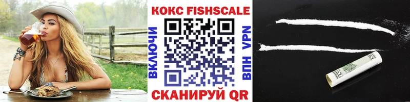 Cocaine FishScale  Купить где  Высоковск 