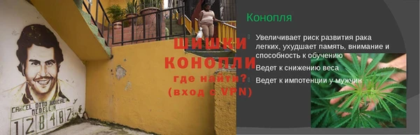 хмурый Каменногорск