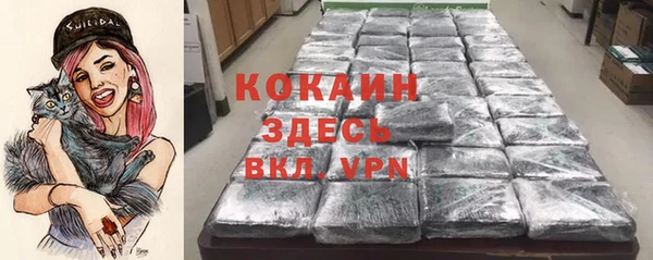 хмурый Каменногорск