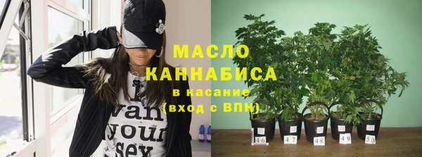 хмурый Каменногорск
